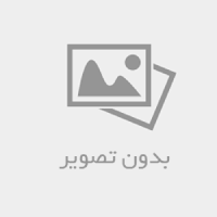 تخته سرو چوبی
